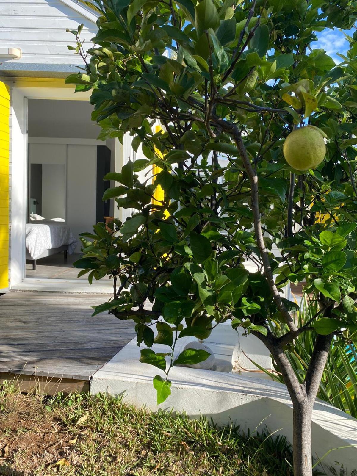 Villa Ylang Saint-Gilles-les Bains Exterior foto